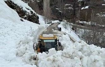 Bahçesaray’da yola çığ düştü