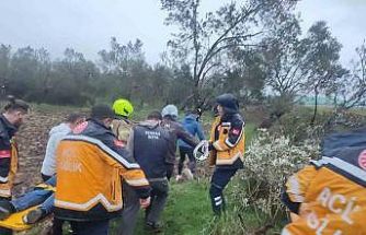 Balıkesir’de kontrolden çıkan otomobil zeytinliğe savruldu: 1 yaralı