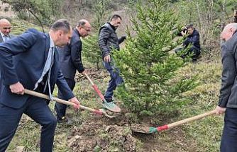 Bartın’da hükümlüler fidan dikti