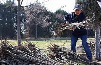 Başkan Altay: "23 bin 500 adet fidanı çiftçimize ulaştıracağız"