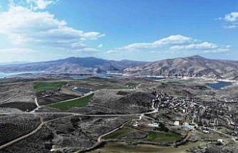 Başkan Çolakbayrakdar: "Türkiye’de ağaç dikmede rekor kırdık, şimdi yeni bir rekor için çalışıyoruz"