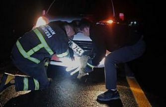 Batman’da çarpma sonucu aracın tamponuna sıkışan tilki kurtarıldı