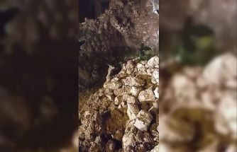 Batman’da fırtınada 2 katlı taş bina çöktü: Enkaz altında kalan 5 büyükbaş hayvan kurtarıldı