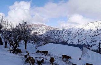 Batman’da mart ayında kar yağışı etkili oldu