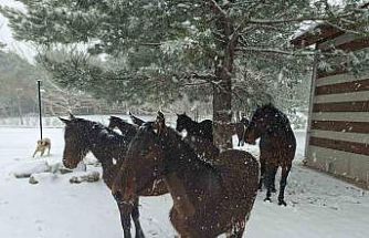 Bayramda Spil’e kar sürprizi