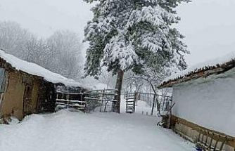 Bilecik bayram sabahına beyaz örtüyle uyandı