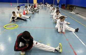 Bilecik’te tekvandocuların performansı yoğun antrenmanlarla yükseliyor