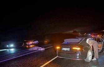 Bingöl’de otomobil ata çarptı: 4 yaralı