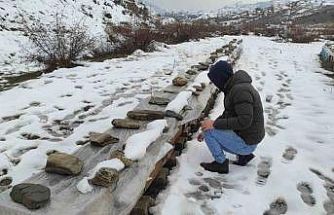 Birincilik getiren arılarını kış şartlarında özenle koruyor