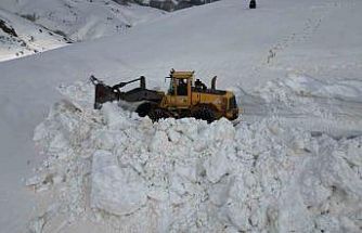 Bitlis’te 5 metreyi bulan karda yol açma çalışması