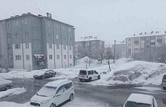 Bitlis’te kar yağışı