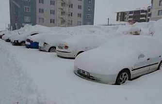 Bitlis’te mart karı 288 köy yolu ulaşıma kapattı