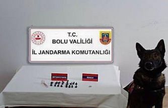 Bolu’da uyuşturucu operasyonu