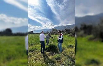 Bozdoğan İlçe Tarım ve Orman Müdürlüğü ekipleri ilek bahçesinde bakım yaptı