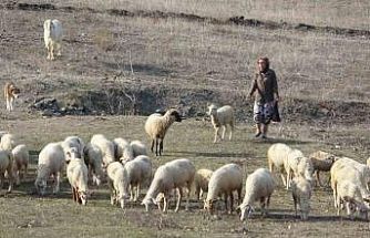 Bursa’da boğazından bıçaklanarak öldürülen kadının eski görüntüleri ortaya çıktı