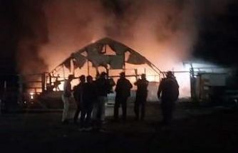 Bursa’da çiftlikte yangın: 580 kanatlı hayvan telef oldu