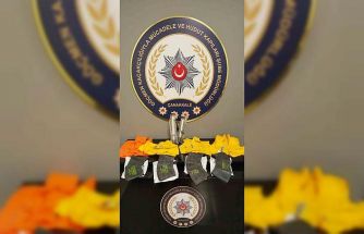 Çanakkale’de 23 düzensiz göçmen yakalandı, 3 organizatör tutuklandı