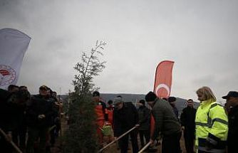 Çanakkale’de Dünya Ormancılık Günü’nde 5 bin fidan toprakla buluştu