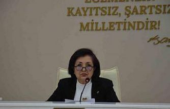 CHP’li Belediye Meclis üyesi Tan, komisyon görevlerinden istifa etti