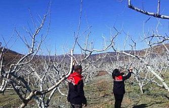 Çiftçilere bordo bulamacı uyarısı
