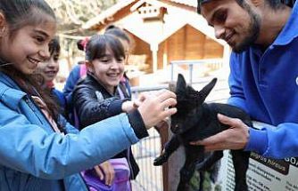 Çocuklar hayvanları ve yaban hayatını tanıma fırsatı buldu