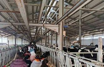 Çocuklar, tarımsal üretimi yerinde inceledi