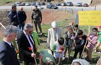 Cumayeri’nde fidanlar toprakla buluştu