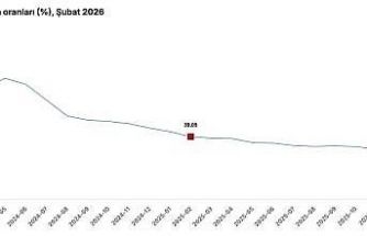 Cumhurbaşkanı Yardımcısı Yılmaz: "Şubat ayı enflasyonu, hava şartlarının etkisiyle artan gıda fiyatlarının öncülüğünde yüzde 2,96 olarak gerçekleşti"