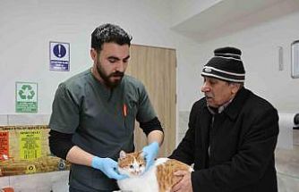 Cumhuriyet tarihinin ilk fakültesine ait hastanede, bir yılda 9 bin 600 hayvan şifa buldu