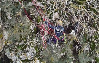 Dağda mahsur kalan keçi kurtarıldı