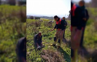 Defne’de kuyuya düşen kuzuyu itfaiye kurtardı