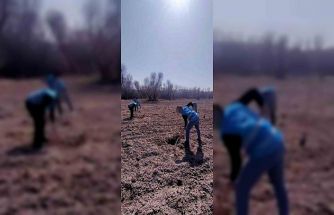 Denetimli serbestlik yükümlüleri ’Adalet Ormanı’nda meyve yetiştiriyor