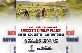 Denizli Büyükşehir 582 üreticiye 1200 adet koyun ve koç dağıtacak