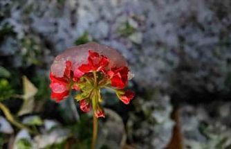 Denizli’ye baharda yağan lapa lapa kar araçları yolda bıraktı