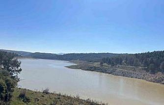 Derbent Barajı’nda su seviyesi zirvede