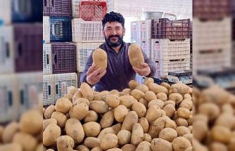Dev patatesler pazarın ilgi odağı oldu