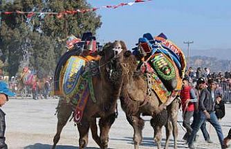 Deve güreşi takvimi belli oldu