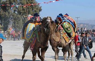 Deve güreşlerinde, "Bu sene mangal yakılmayacak, basın mensupları dışarıya çıkarılacak"