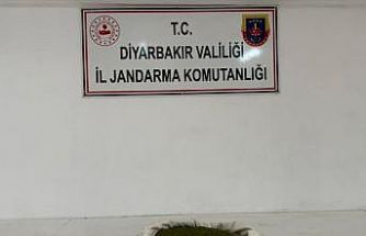 Diyarbakır’da 23 kilo esrar ele geçirildi