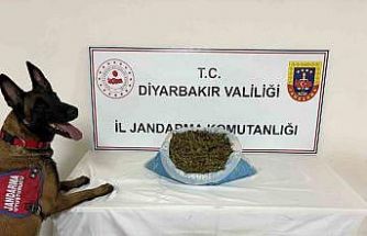 Diyarbakır’da uyuşturucu operasyonu: 14 gözaltı