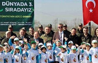 Düzce’de yüzlerce fidan toprakla buluştu