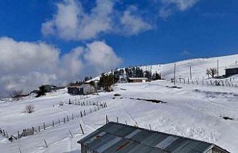 Düzce’nin zirvesi Kardüz’den muhteşem görüntüler