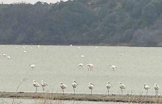 Eceabat Kaymakamı Kerem Yenigün’den Suvla Bölgesinde Doğa İncelemesi