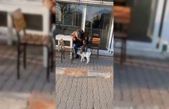 Edirne’de de "keçi ile alışveriş" keyfi