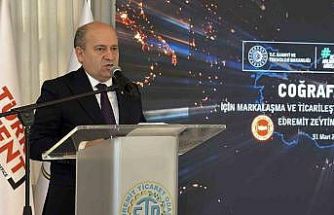 Edremit Zeytinyağı için küresel markalaşma yol haritası tamamlandı