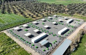 Edremit’te can dostlar için doğal yaşam alanı açılıyor