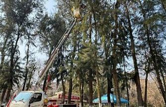 Efeler’de Pınarbaşı Mesire Alanı bakıma alındı