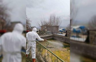 Elazığ’da larva ilaçlama çalışmaları başladı