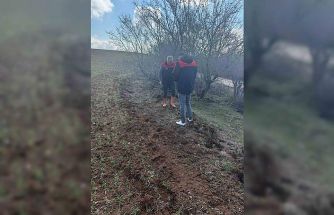 Elazığ’da tarla faresi  sürvey çalışması