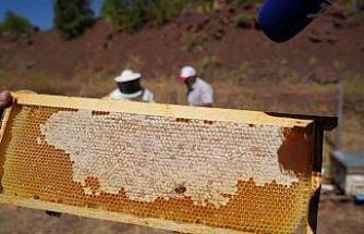 Erzincan Geven Balı coğrafi işaret tescili aldı